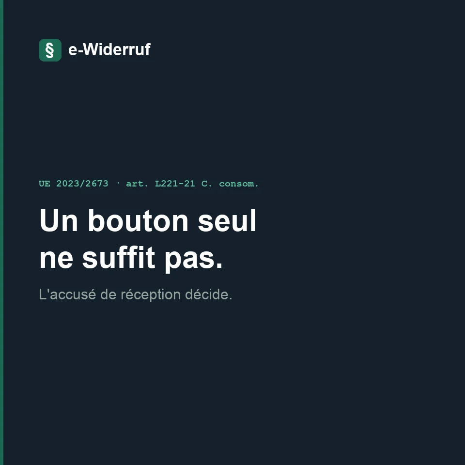 Image d’aperçu de la vidéo explicative